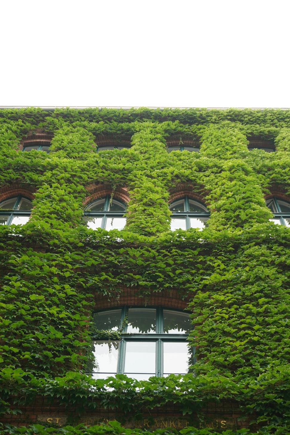 Sustainable Solutions